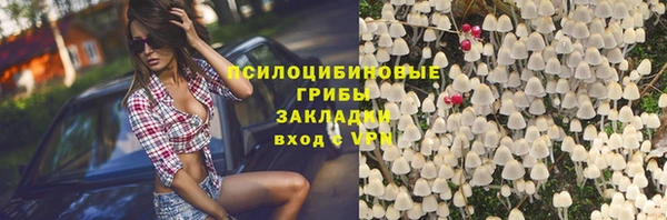 амф Алзамай