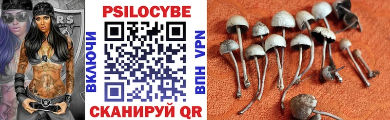Галлюциногенные грибы Cubensis Ермолино